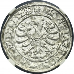 Sigismund I the Old, Groschen Krakau 1529 - NGC MS62