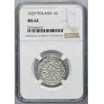 Zygmunt I Stary, Grosz Kraków 1529 - NGC MS62