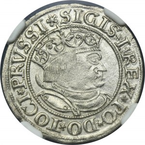 Sigismund I the Old, Groschen Thorn 1532 - PRVSSI/PRVSS - NGC MS64