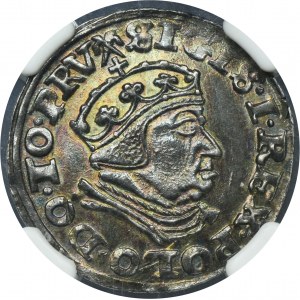 Sigismund I the Old, 3 Groschen Danzig 1540 - PRV - NGC MS62