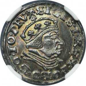 Sigismund I the Old, 3 Groschen Danzig 1540 - PRV - NGC MS62