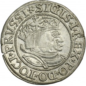 Sigismund I the Old, Groschen Thorn 1533 - PRVSSI / PRVSSI - VERY RARE
