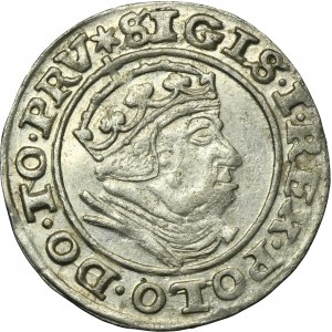 Sigismund I the Old, Groschen Danzig 1540 - PRV