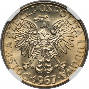 10 or 1967 Marie Skłodowska-Curie - NGC MS68