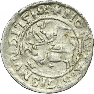 Sigismond Ier le Vieux, demi-penny Vilnius 1519 - RARE