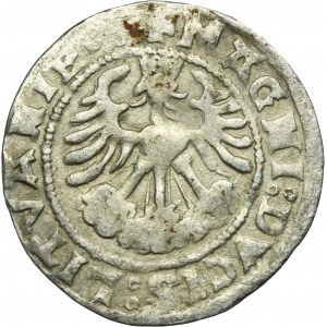 Sigismond Ier le Vieux, demi-penny Vilnius 1519 - RARE