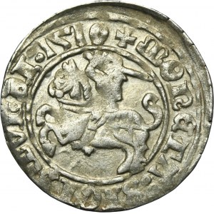 Žigmund I. Starý, Półgrosz Wilno 1510