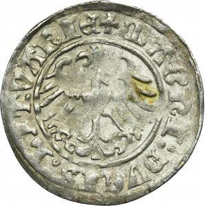 Žigmund I. Starý, Półgrosz Wilno 1510