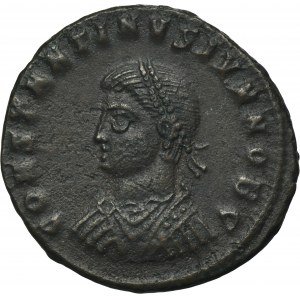 Cesarstwo Rzymskie, Konstantyn II, Follis