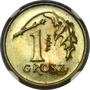 PRÓBA MOSIĄDZ, 1 grosz 1991 - NGC MS63 - RZADKA