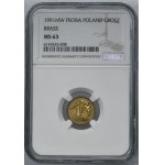SAMPLE of brass, 1 penny 1991 - NGC MS63 - RARE