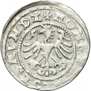 Sigismund I the Old, 1/2 Groschen Krakau 1508