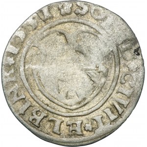 Sigismund I. der Alte, Elbląg 1531