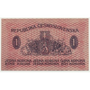 Czechosłowacja, 1 korona 1919