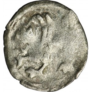 Western Pomerania, Demmin, Denarius undated