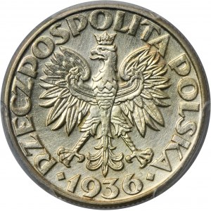 Żaglowiec, 2 złote 1936 - PCGS AU DETAILS