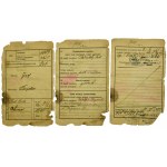 II RP, Set of documents after Józef Paździor