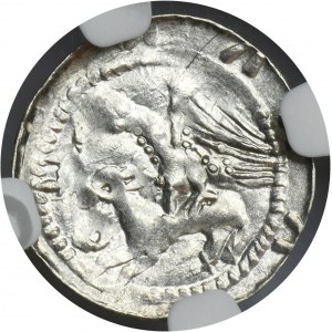 Vladislaus II the Exile, Denarius - Eagle and Hare - NGC MS62