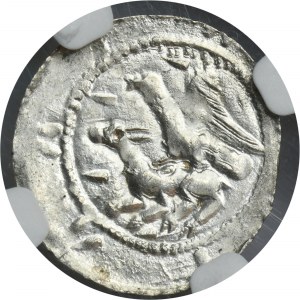Vladislaus II the Exile, Denarius - Eagle and Hare, wedges and star - NGC MS63