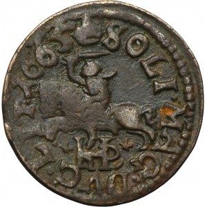 Ján II Kazimír, Shelagh Vilnius 1665