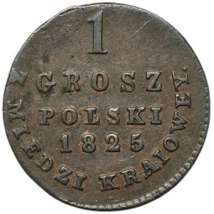 Królestwo Polskie, 1 grosz polski z MIEDZI KRAIOWEY Warszawa 1825 IB