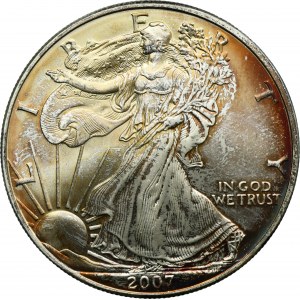 USA, 1 Dolar Filadelfia 2007 - Walking Liberty