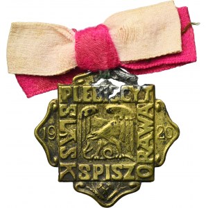 Odznaka plebiscyt Śląsk, Spisz, Orawa 1920