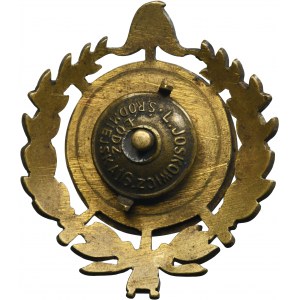 Badge for 10 years of service, Fire Department