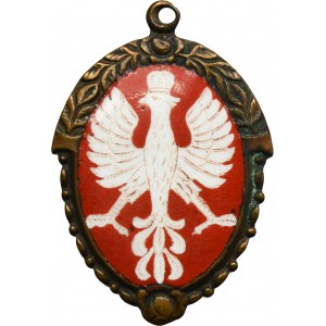 Patriotic medallion with an eagle