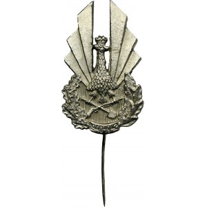 Pin Vichy Polish Workers Battalions 1940-1942