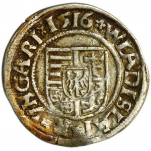 Węgry, Władysław II Jagiellończyk, Denar Kremnica 1516 KG