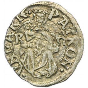 Hongrie, Ladislas II Jagellon, Kremnica denarius sans date Kh