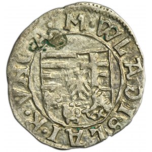 Hungary, Ladislaus II Jagiellon, Denarius Kremintz undated Kh