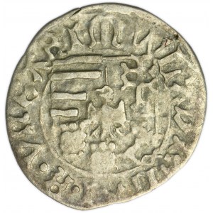 Hongrie, Ladislas II Jagellon, Kremnica denarius sans date Kh