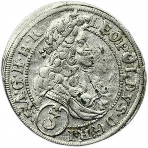 Śląsk, Panowanie habsburskie, Leopold I, 3 Krajcary Brzeg 1696 CB