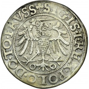 Žigmund I. Starý, Elblągský groš 1540 - PRVSS