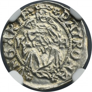 Węgry, Władysław II Jagiellończyk, Denar Kremnica 1504 KH - NGC MS62