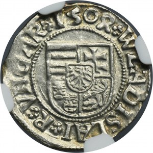 Hungary, Ladislaus II Jagiellon, Denarius Kremnitz 1504 KH - NGC MS62