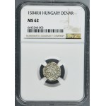 Hungary, Ladislaus II Jagiellon, Denarius Kremnitz 1504 KH - NGC MS62