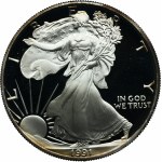 USA, 1 Dolar San Francisco 1991 - Walking Liberty