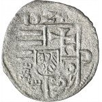 Silesia, Louis Jagiellon, Denarius Breslau 1524 - VERY RARE