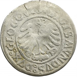 Sigismund I the Old, Groschen Glogau 1506 - RARE