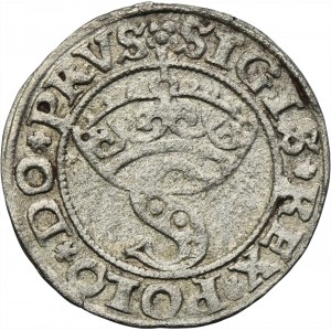 Žigmund I. Starý, Šelag z Torune 1530 - VELMI ZRADKÉ, meč nad pravým krídlom