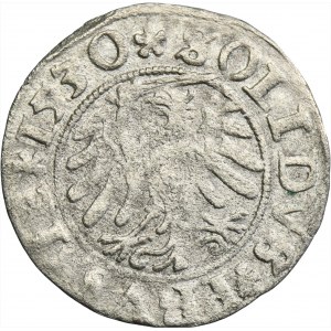 Žigmund I. Starý, Šelag z Torune 1530 - VELMI ZRADKÉ, meč nad pravým krídlom