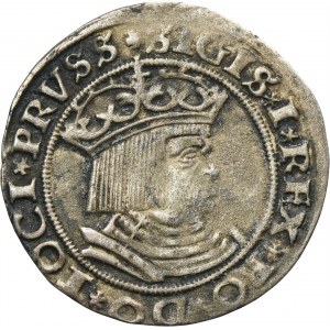 Sigismund I the Old, Groschen Thorn 1528 - RARE, PRVSS