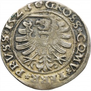 Sigismund I the Old, Groschen Thorn 1528 - RARE, PRVSS
