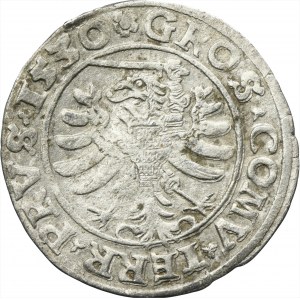 Sigismund I the Old, Groschen Thorn 1530 - RARE, SIGIS without I