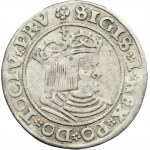 Sigismund I the Old, Groschen Thorn 1530 - RARE, TOCIV