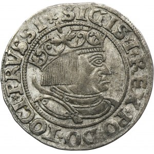Sigismund I the Old, Groschen Thorn 1533 - PRVSSI/PRVSS