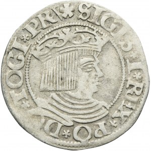 Sigismund I the Old, Groschen Danzig 1534 - PRV